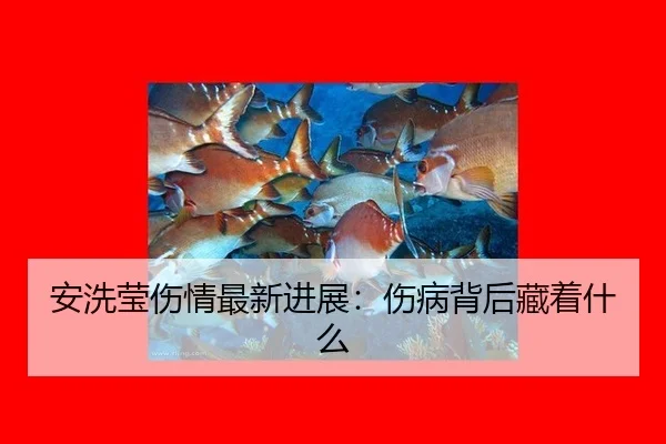 an-xi-ying-shang-qing-zui-xin-jin-zhan-shang-bing-bei-hou-cang-zhe-shen-me-2-681.jpg